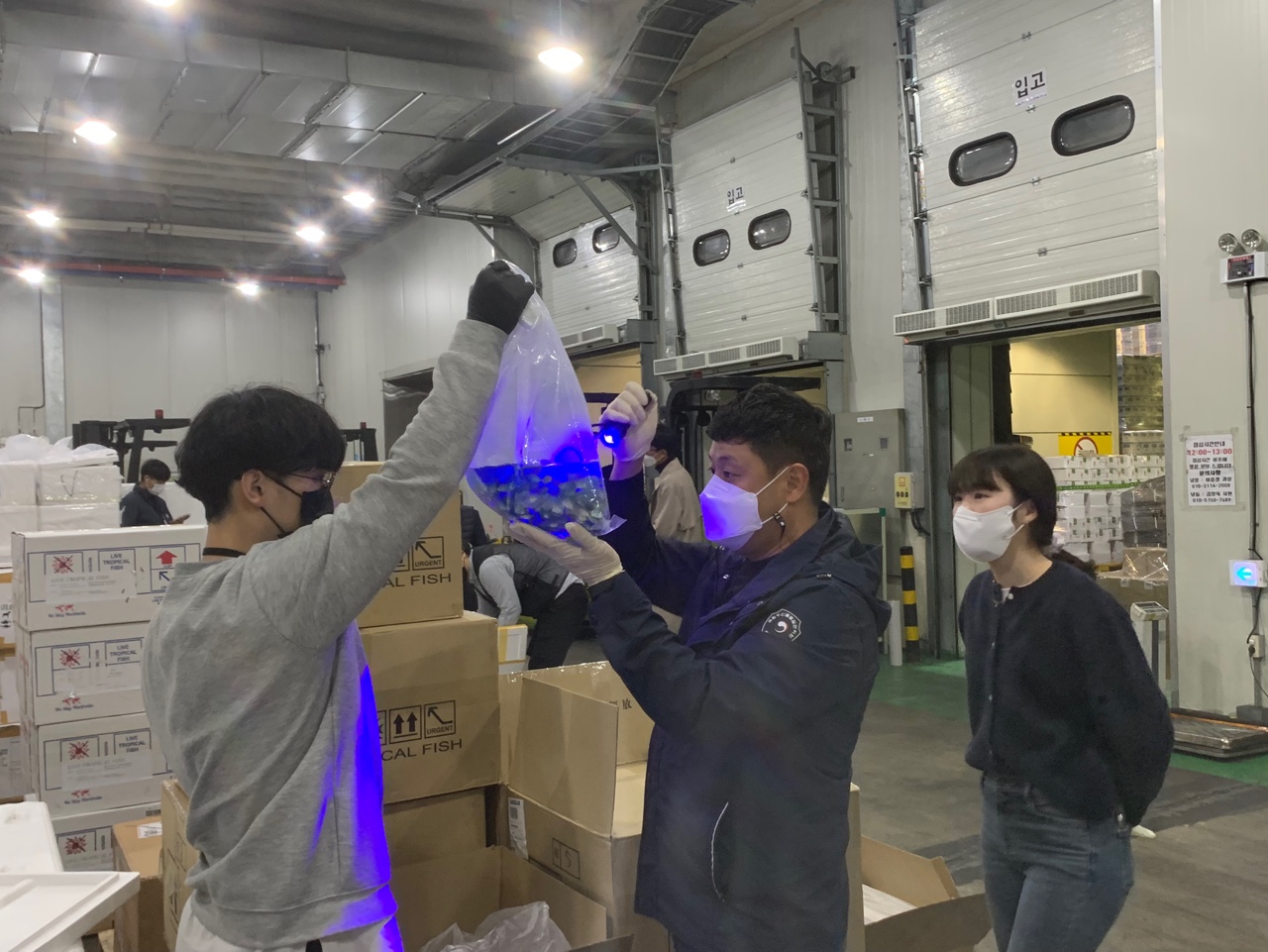 해양수산부 국립수산물품질관리원 정부혁신 어벤져스 2차 활동! 관련사진3