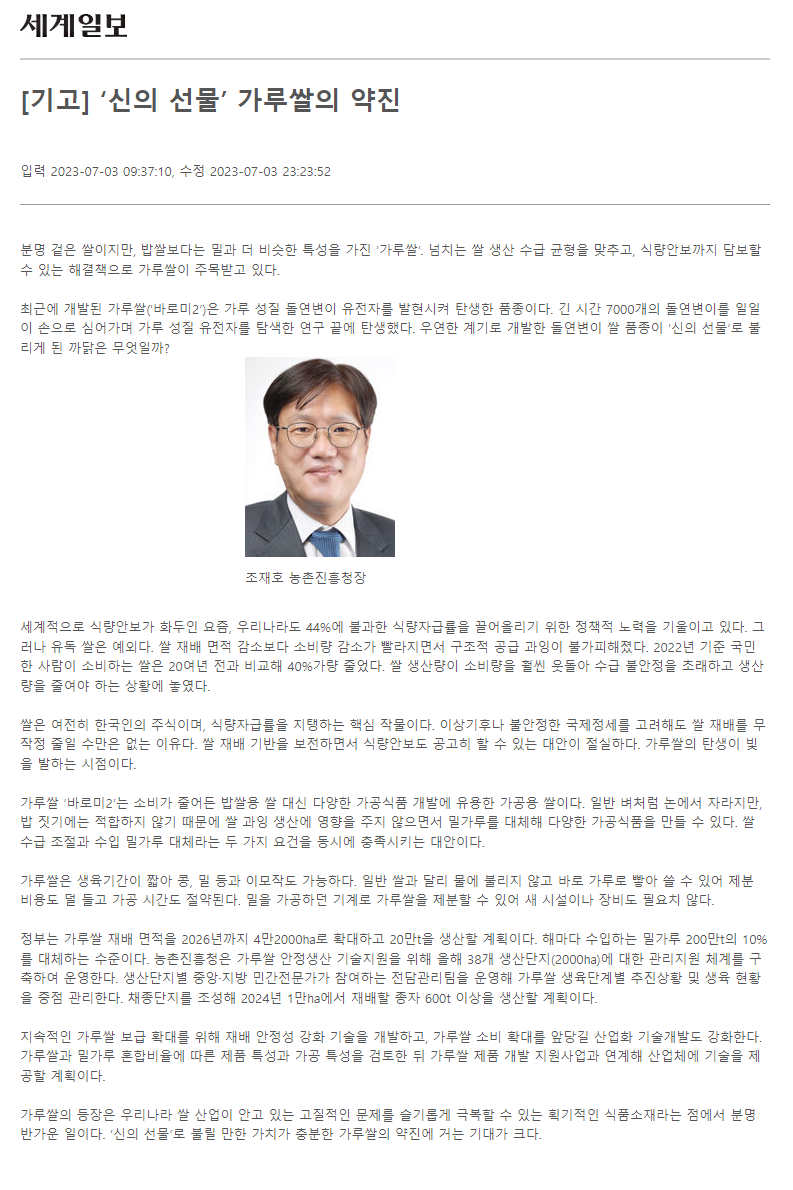 가루쌀 '바로미2'는 쌀 생산 과잉 문제 해결과 식량안보 강화를 위한 대안으로 주목받고 있음. 이 품종은 가공용 쌀로, 밥쌀 대신 다양한 가공식품에 활용 가능하며, 생육기간이 짧아 이모작도 가능함. 물에 불리지 않고 바로 가루로 사용할 수 있어 제분 비용과 시간을 절약할 수 있으며, 기존 밀가루 가공 기계로도 처리 가능함. 정부는 가루쌀 재배 면적 확대를 계획하고 있음.