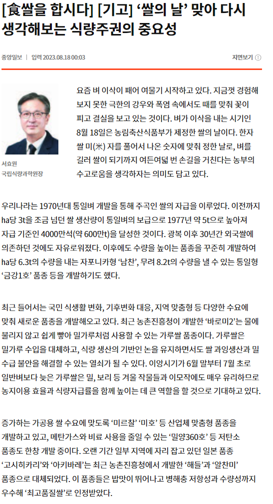 벼 이삭이 여물기 시작하는 8월 18일은 농림축산식품부가 제정한 '쌀의 날'로, 농부의 수고를 되새기는 의미가 담겨 있음. 1970년대 통일벼 개발로 쌀 자급이 이루어졌고, 이후 다양한 품종이 개발되어 생산량이 증가함. 최근에는 가루쌀과 같은 새로운 품종이 등장하여 밀가루 수입 대체와 식량 자급률 향상에 기여할 것으로 기대됨. 저탄소 품종과 산업체 맞춤형 품종도 개발 중이며, 일본 품종 대체가 진행되고 있음.