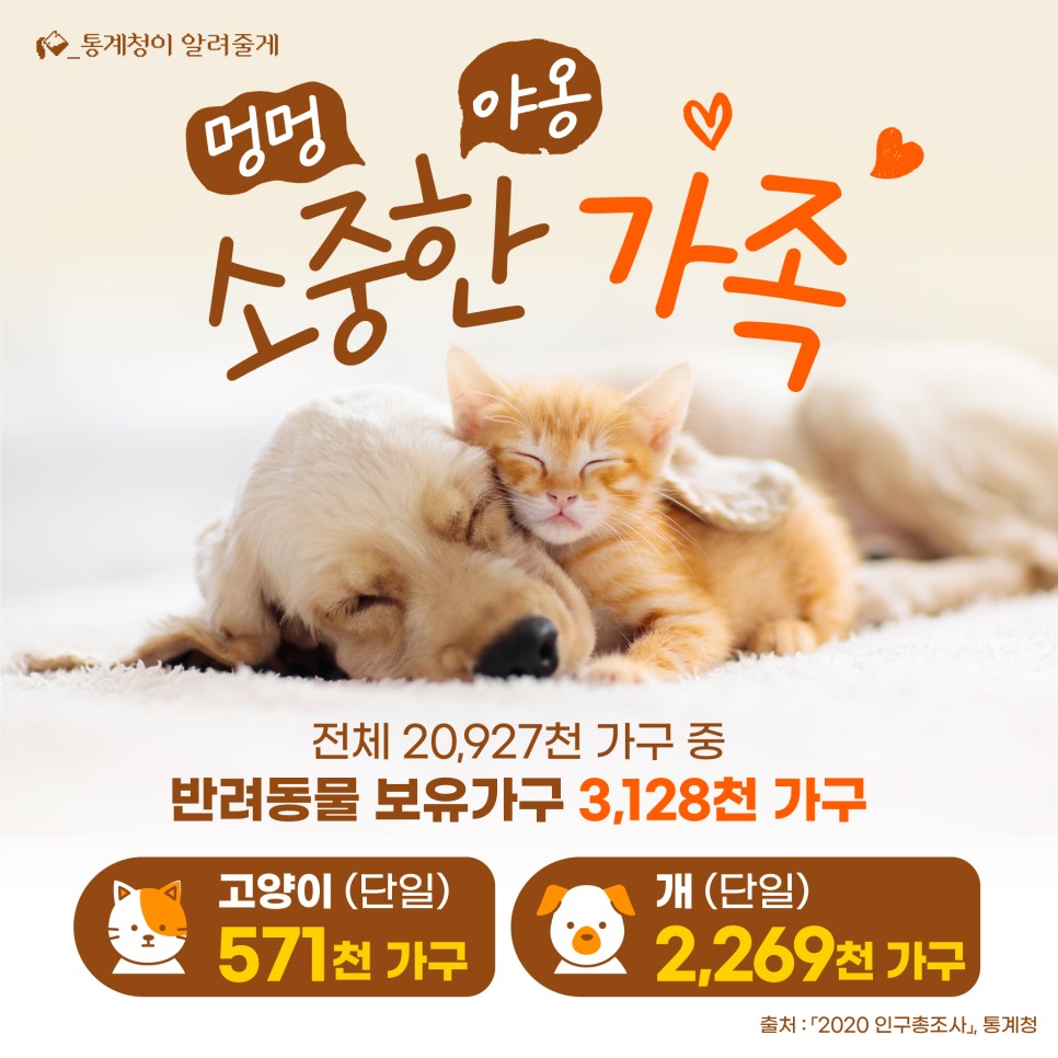 통계청의 2020 인구총조사에 따르면, 전체 20,927천 가구 중 3,128천 가구가 반려동물을 보유. 고양이를 단일로 보유한 가구는 571천 가구, 개를 단일로 보유한 가구는 2,269천 가구. 반려동물 보유 가구의 비율과 종류에 대한 통계.