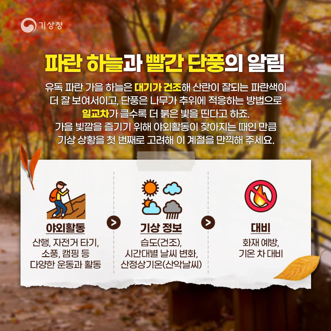 20231013-가을 일교차에 따른 건강 관리와 야외활동-4.jpg