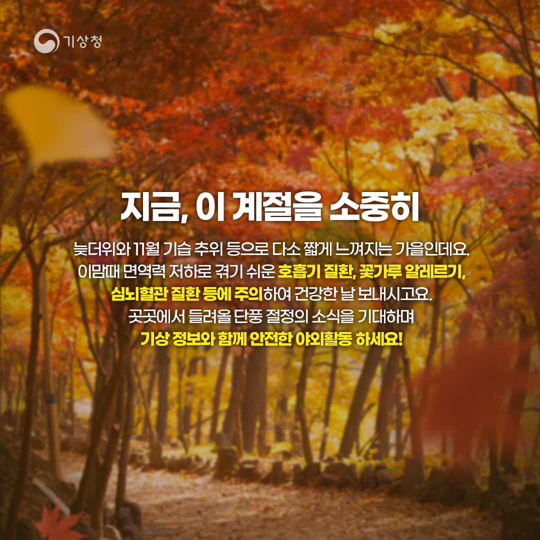 20231013-가을 일교차에 따른 건강 관리와 야외활동-5.jpg