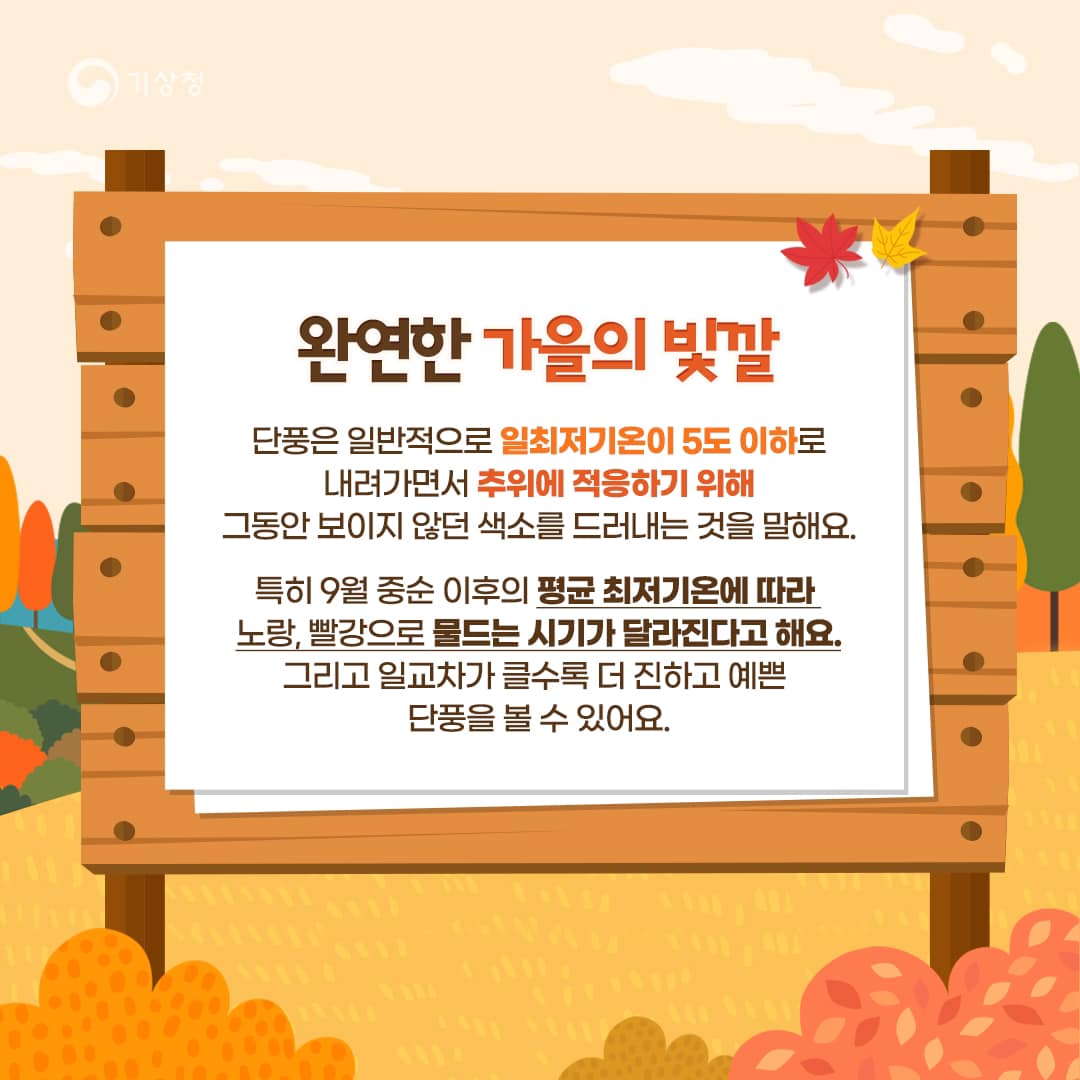 20231018-안전한 단풍산행 즐기는 방법-2.jpg