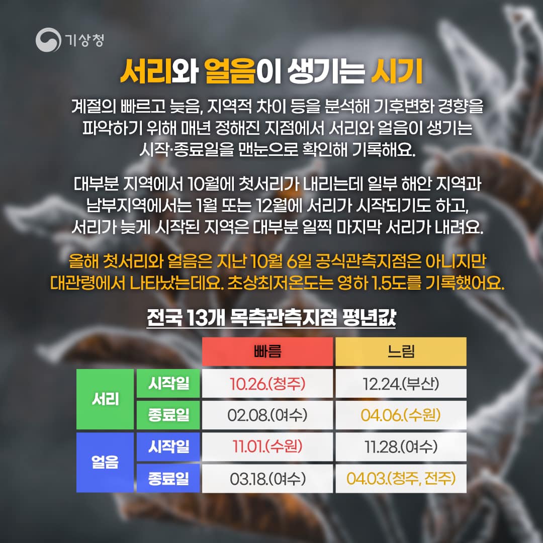 20231025-추운 새벽을 알리는 서리와 얼음-3.jpg