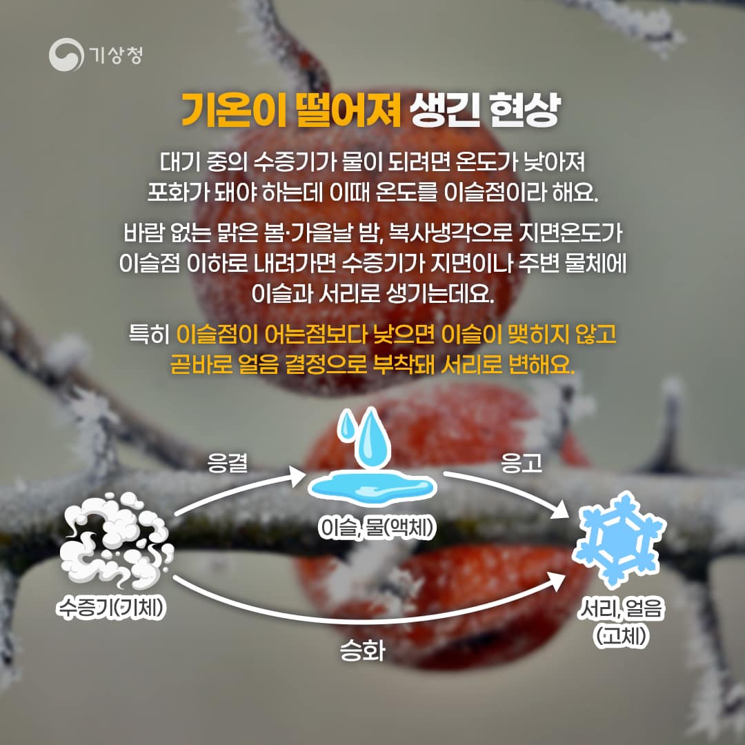 20231025-추운 새벽을 알리는 서리와 얼음-2.jpg