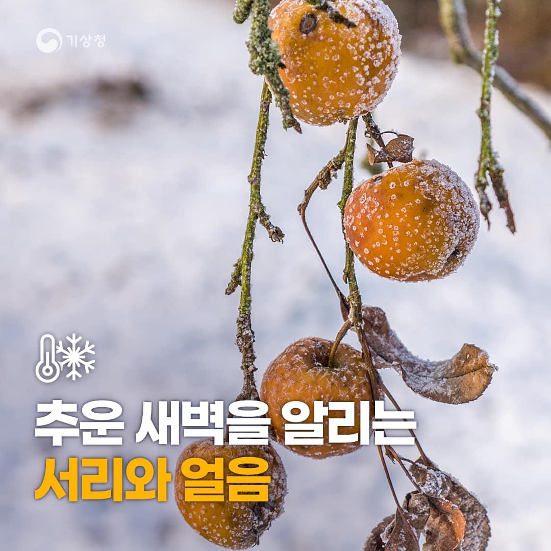 추운 새벽을 알리는 서리와 얼음, 차가운 공기 속에서 반짝이는 서리와 얼음의 모습, 겨울의 시작을 느끼게 하는 자연의 변화, 새벽의 고요함 속에 감도는 차가운 기운, 서리와 얼음이 만들어내는 아름다움과 함께 다가오는 겨울의 정취, 이른 아침의 상쾌함과 함께 느껴지는 차가운 온도, 겨울의 풍경을 더욱 돋보이게 하는 요소들, 서리와 얼음이 주는 시각적 즐거움과 함께하는 겨울의 매력.