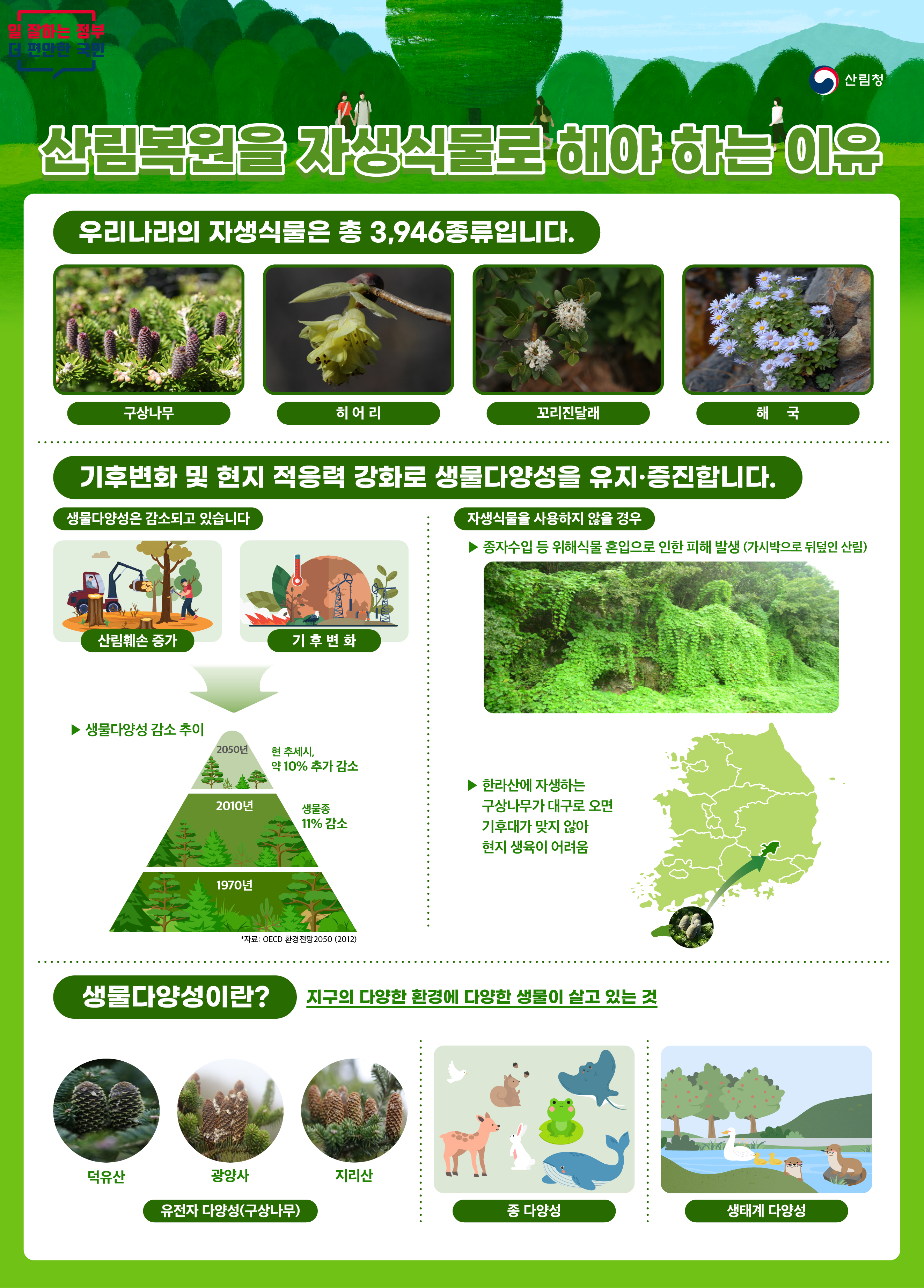 산림복원을 자생식물로 해야하는 이유_인포그래픽_최종.png